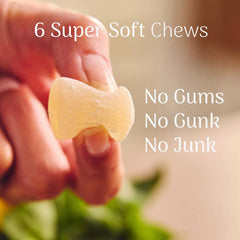 Veloforte Fresco Energy Chews Lemon & Cool Mint (1X6)