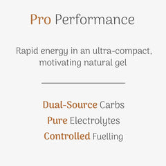 Veloforte Tempo Natural Energy Gel 9 X 33 gr