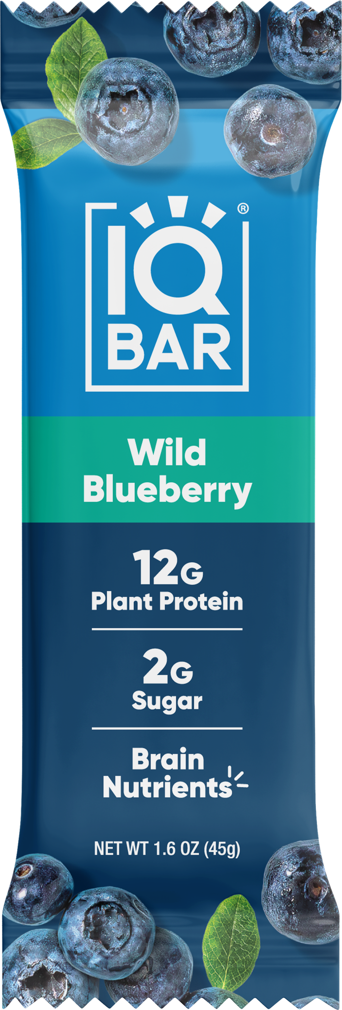IQ BAR Wild BlueBerry 45 gr Protein Bar